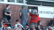 GIF by MLB
