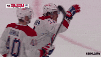 Happy Montreal Canadiens GIF by NHL