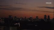 viceland GIF by CYBERWAR