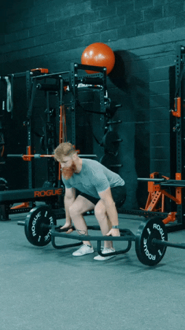 Honehealth giphyupload GIF