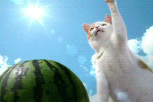 that escalated quickly GIF by Testing 1, 2, 3