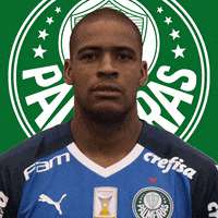 Palmeiras soccer eye futebol blink GIF