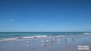 beach travel GIF