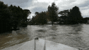 GIF by BFMTV