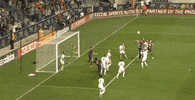 goal effort GIF by Philadelphia Union