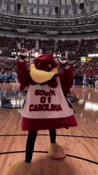 Womens Basketball GIF by University of South Carolina
