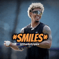 New York Mets Baseball GIF