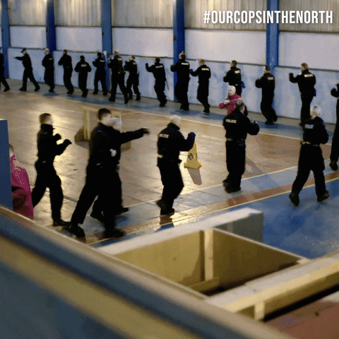 police ourcopsinthenorth GIF by Level Theory