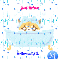 Happy New Year Sticker by MomentSQ
