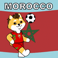 Celebrate World Cup GIF by Dogelon Mars