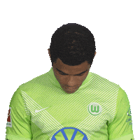 Vfl Wolfsburg Smile Sticker by Bundesliga