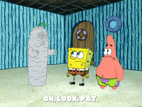 season 4 GIF by SpongeBob SquarePants