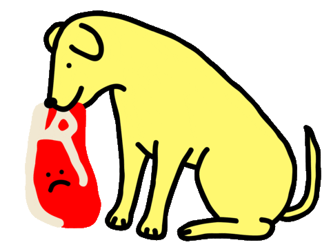 carolfromlisbon giphyupload dog doggo beef Sticker