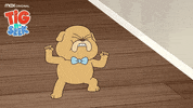 Seek Lost And Found GIF by Cartoon Network