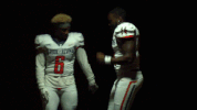 unite18 cnfb18 GIF by Carson-Newman Athletics