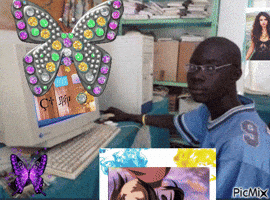 Butterfly Surfing GIF