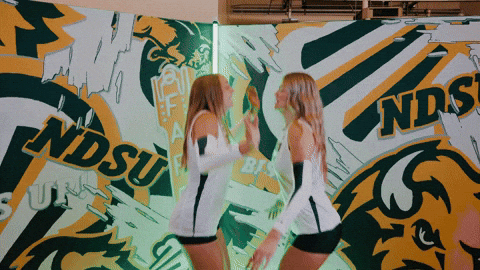 Volleyball Bison GIF by NDSU Athletics