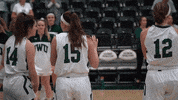 Iwutitans Tgoe GIF by iwusports