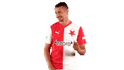 Football Soccer Sticker by SK Slavia Praha