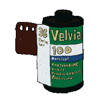 Film Camera Sticker