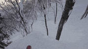 GIF by Red Bull
