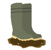 Country Boots Sticker by AIB