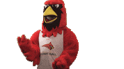 calverthallcollege cardinals hall cardinal calvert Sticker