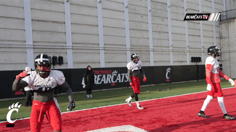cincinnati bearcats dancing GIF by University of Cincinnati Athletics