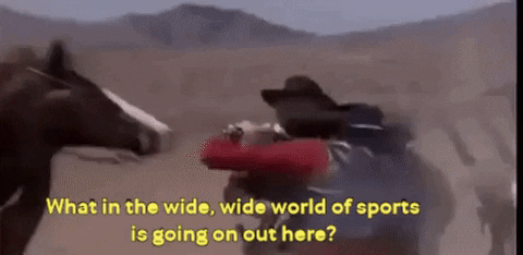 VicVik giphygifmaker giphyattribution GIF