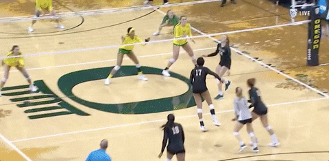 volleyball bears GIF by NCAA Championships