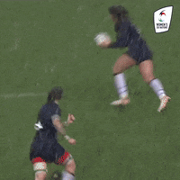 Take It In Womens Rugby GIF by Women's Six Nations
