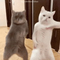Gangnam Style Dancing GIF