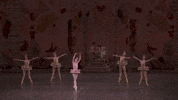 Nutcracker Marzipan GIF by New York City Ballet