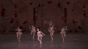 nutcracker marzipan GIF by New York City Ballet