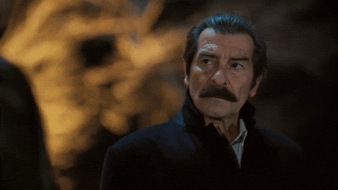 Show GIF by Ay Yapım