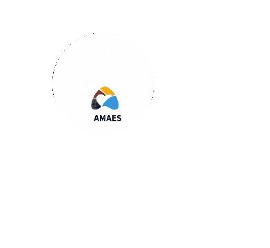 Amaesnamidia Sticker by Amaes