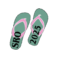 Southern Region Oireachtas Sticker by KAID