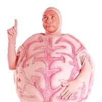 MetodoSuperaOficial cérebro método supera cérebro método supera gifs cerebrosupera cerebrosuperaoficial Sticker