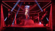 saturday night live snl GIF by Lady Gaga