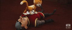 Take That Cat GIF by 10e Ave Productions