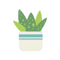 ScatterbrainStudiosLtd plant succulent plant mom plant dad Sticker
