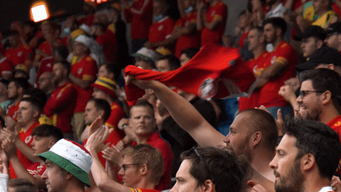 Welsh Football Fans GIF by EatSleep Media