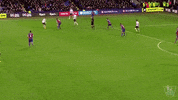 belgium tottenham GIF by nss sports