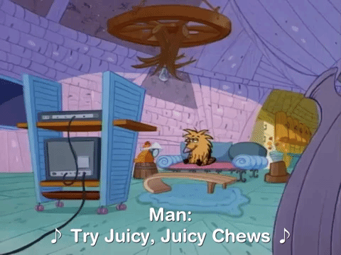 nickrewind giphydvr nicksplat angry beavers giphyab006 GIF
