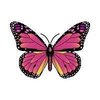 Pink Love Sticker