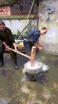 rice villagers GIF
