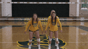 Volleyball Bison GIF by NDSU Athletics