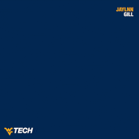 Cheer Cheerleader GIF by WVU Tech Golden Bears