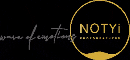 notyiphotographers giphygifmaker logo wave emotions GIF