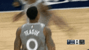 celebrate minnesota timberwolves GIF by NBA